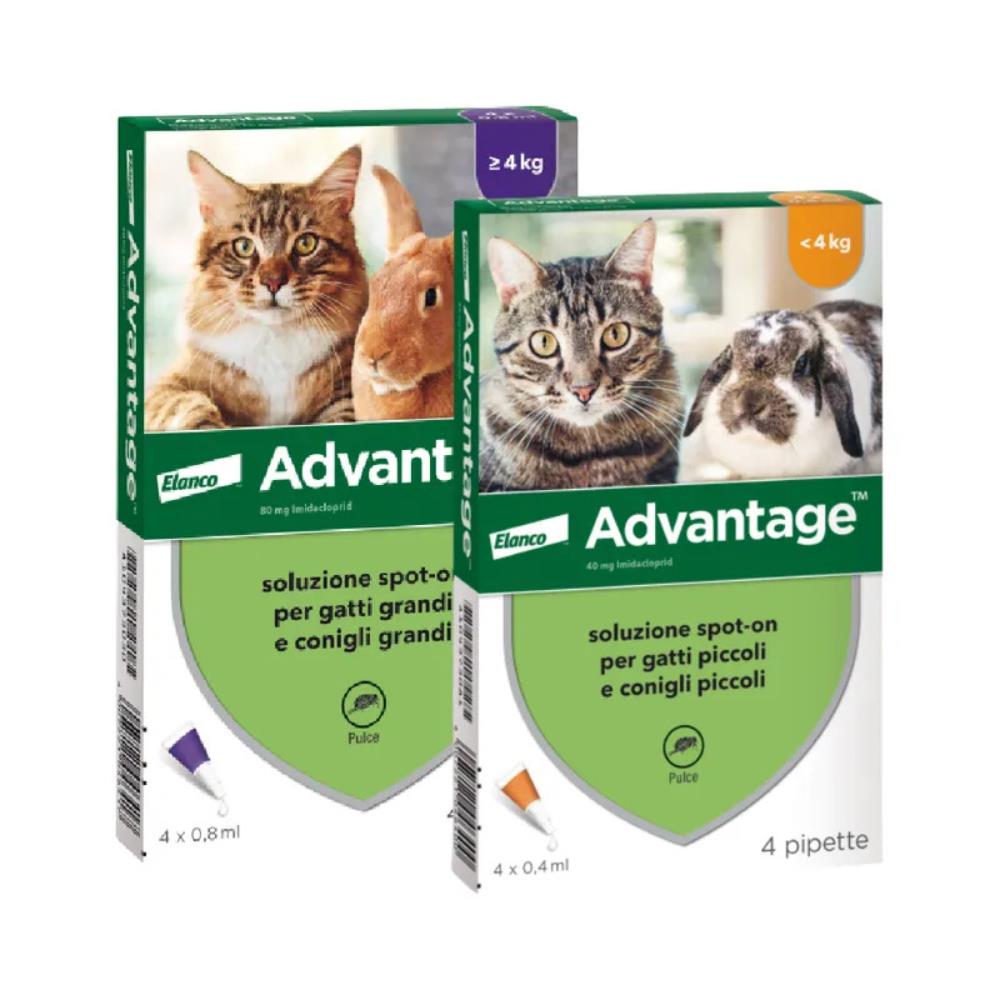 Advantage® Spot-On per Gatti e Conigli 