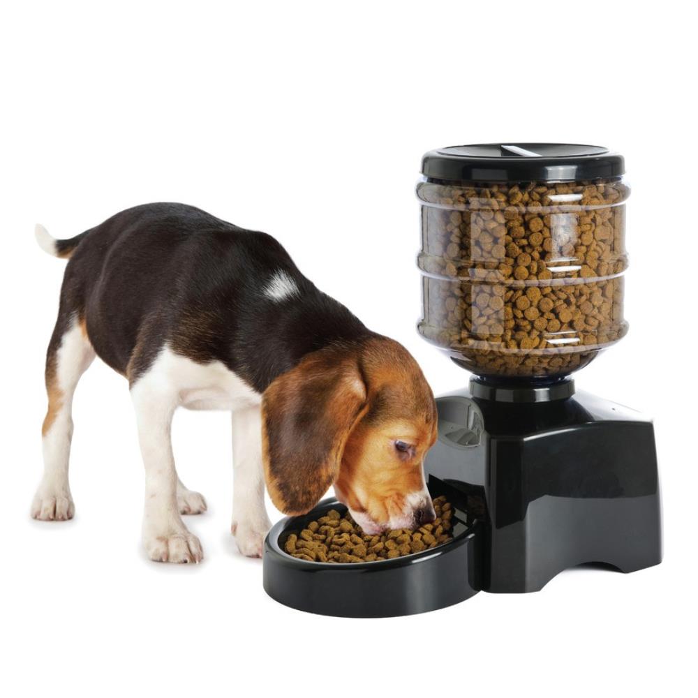 Camon Distributore Automatico di cibo per Cani e Gatti "Big Self Food"