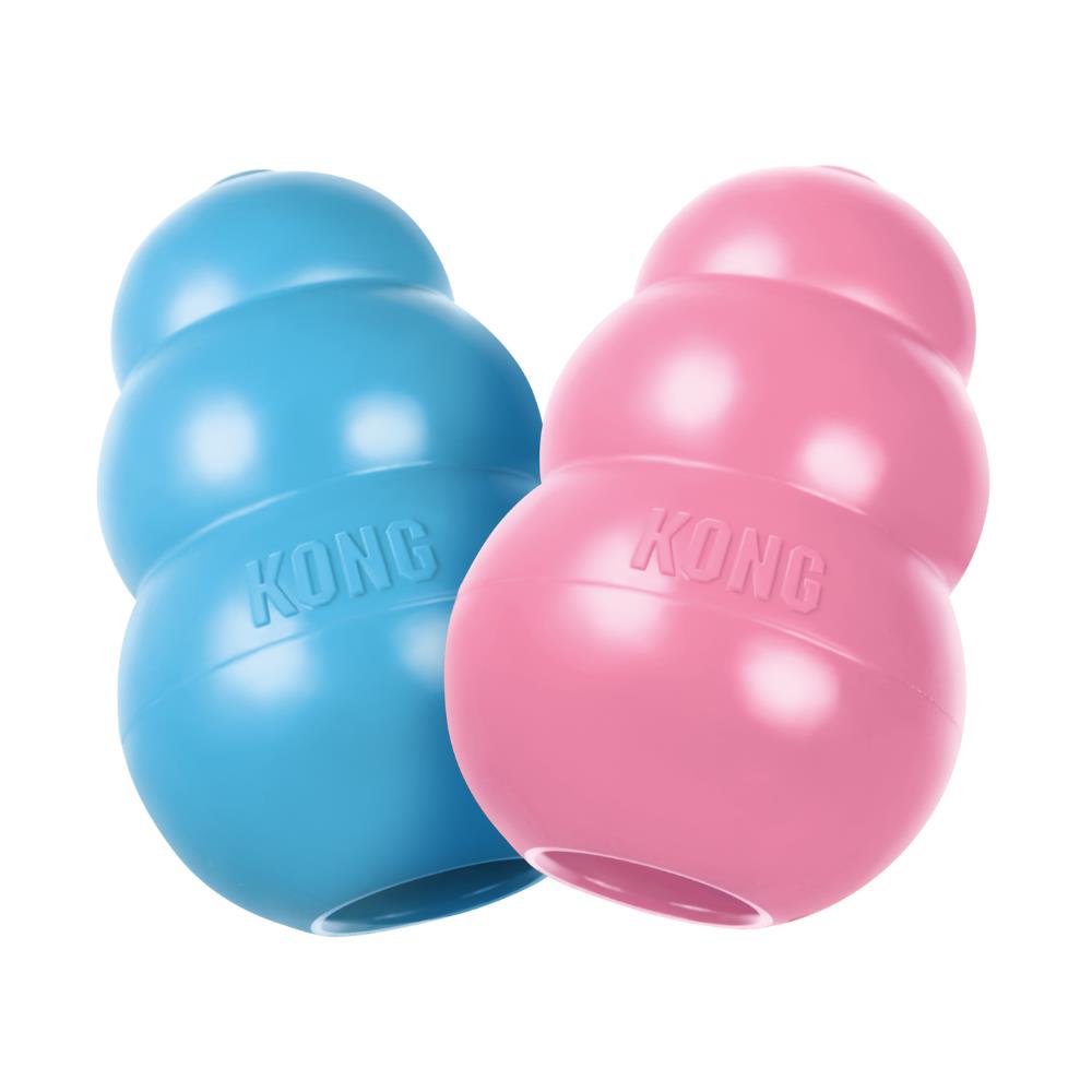 Gioco per Cani Kong Puppy per Cuccioli pink and blue