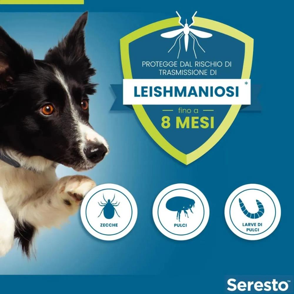 Seresto Collare Antiparassitario contro Pulci, Zecche e Leishmaniosi