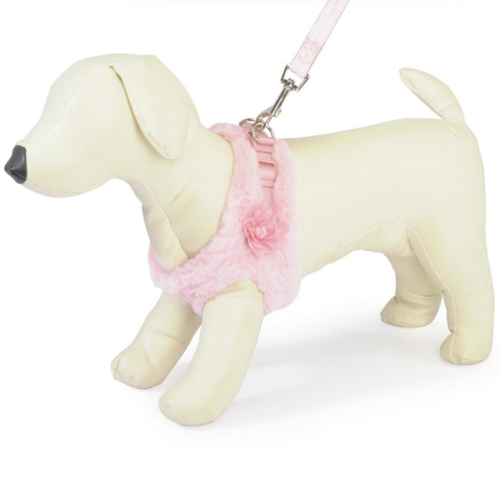 Set Pettorina e Guinzaglio Invernale Traspirante Coordinato Camon